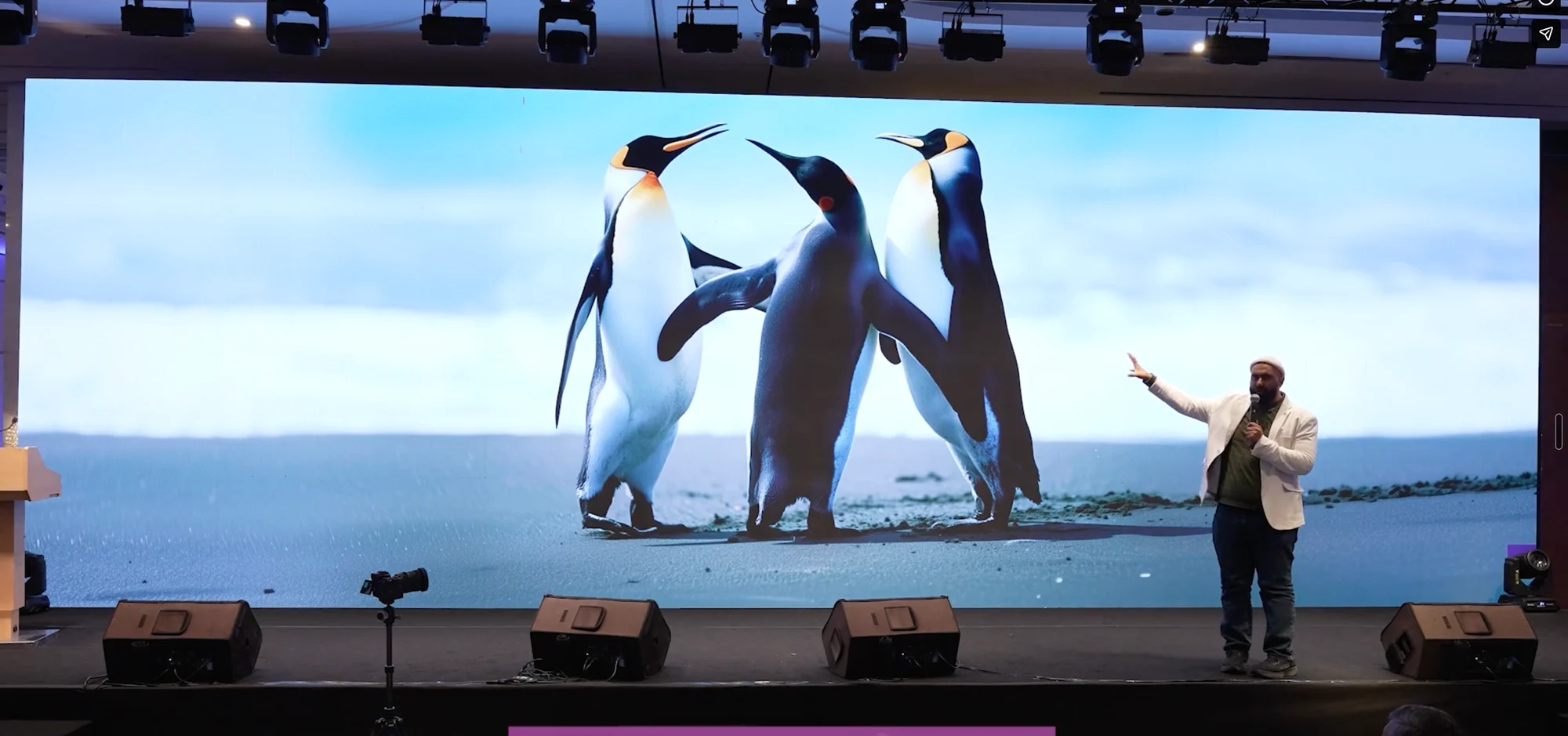 Bilal pointing to a photograph of three penguins during Seeing with New Eyes at Muslim Impact Forum